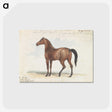 1-46_Charles-Hamilton-Smith_postcard