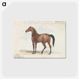 1-46_Charles-Hamilton-Smith_postcard