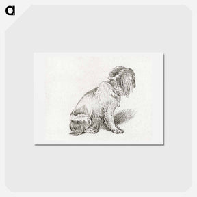 アートポストカード-Sitting Dog
 - コルネリス プロース ファン アムステル Postcard.