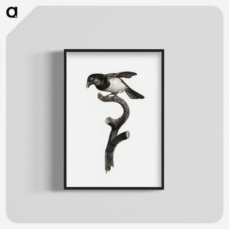 1-46_Des-Oiseaux-de-Paradis_blk-crop