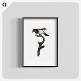 1-46_Des-Oiseaux-de-Paradis_blk