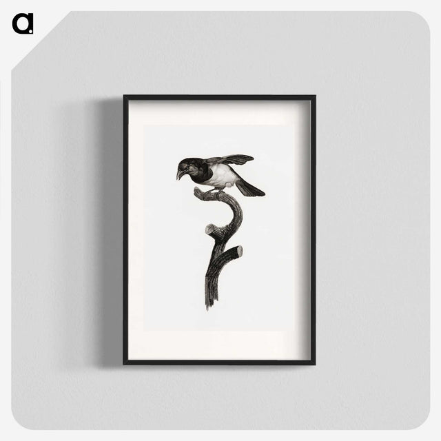1-46_Des-Oiseaux-de-Paradis_blk