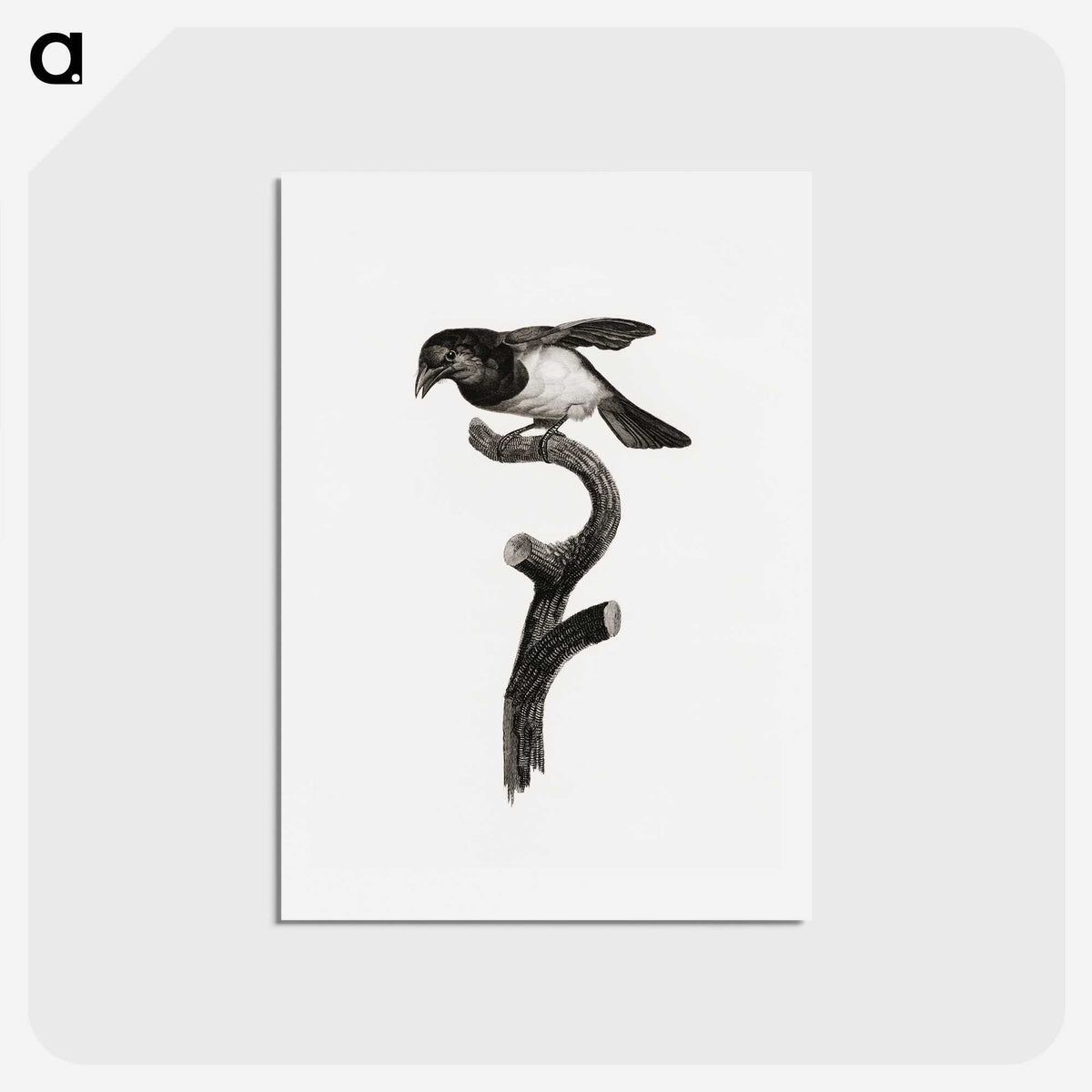 1-46_Des-Oiseaux-de-Paradis_hagaki