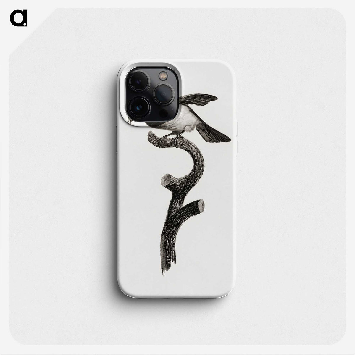 1-46_Des-Oiseaux-de-Paradis_phone