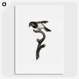 1-46_Des-Oiseaux-de-Paradis_picture