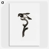 1-46_Des-Oiseaux-de-Paradis_picture