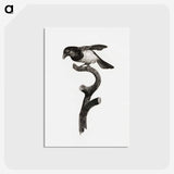 1-46_Des-Oiseaux-de-Paradis_postcard