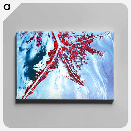 アートパネル-Deepwater Horizon Oil Spill at the Mississippi River Delta
 - 上空からの地球 Canvas.