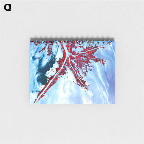 アートメモ帳-Deepwater Horizon Oil Spill at the Mississippi River Delta
 - 上空からの地球 Memo.