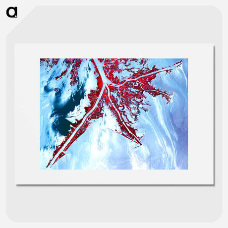 アートポスター-Deepwater Horizon Oil Spill at the Mississippi River Delta
 - 上空からの地球 Poster.