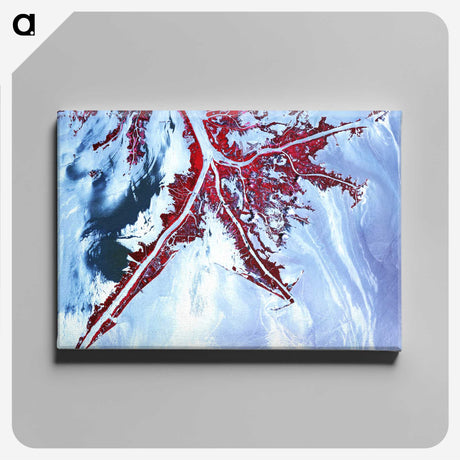 1-46_Earth-from-Above_canvas