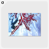 1-46_Earth-from-Above_postcard