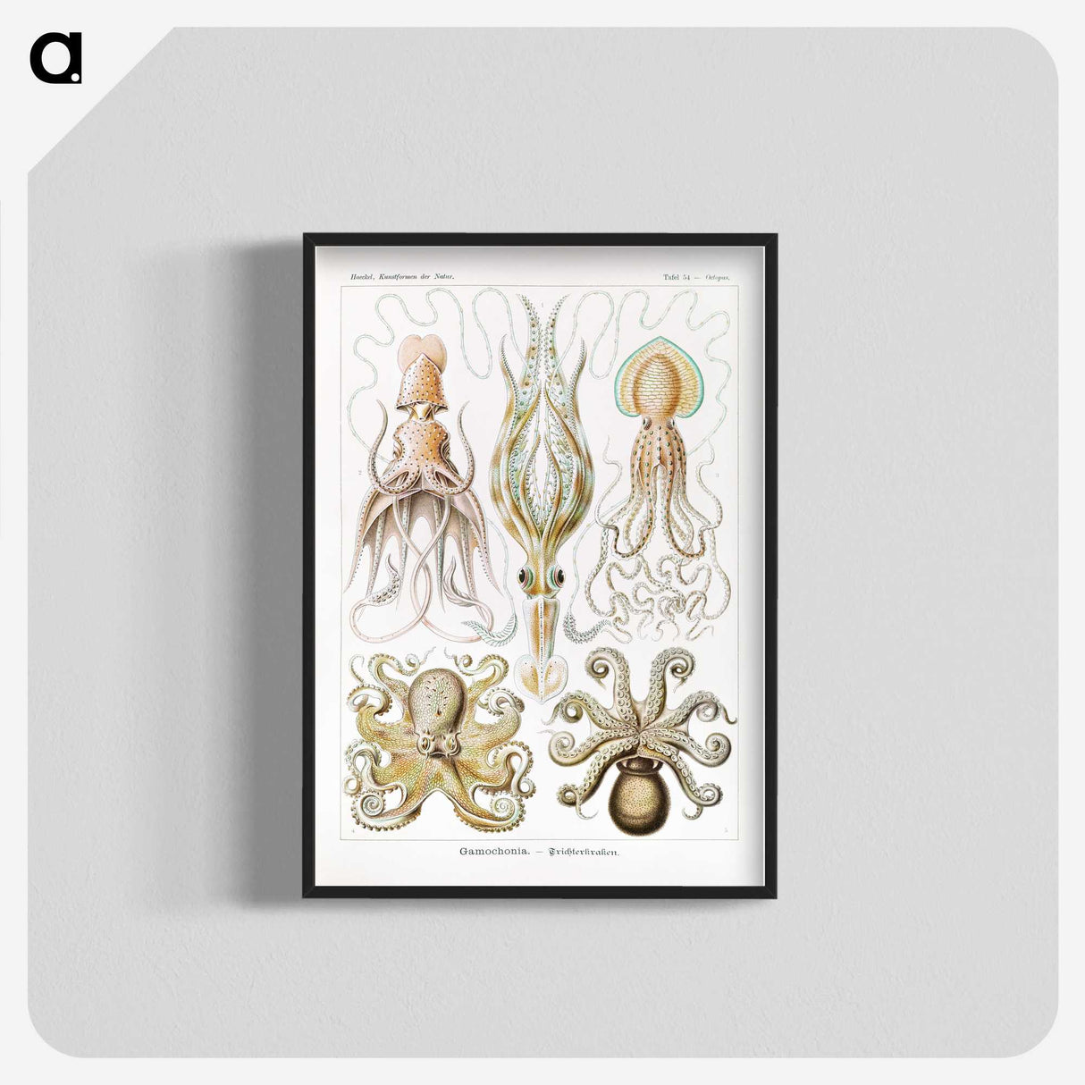 1-46_Ernst-Haeckel_blk-crop