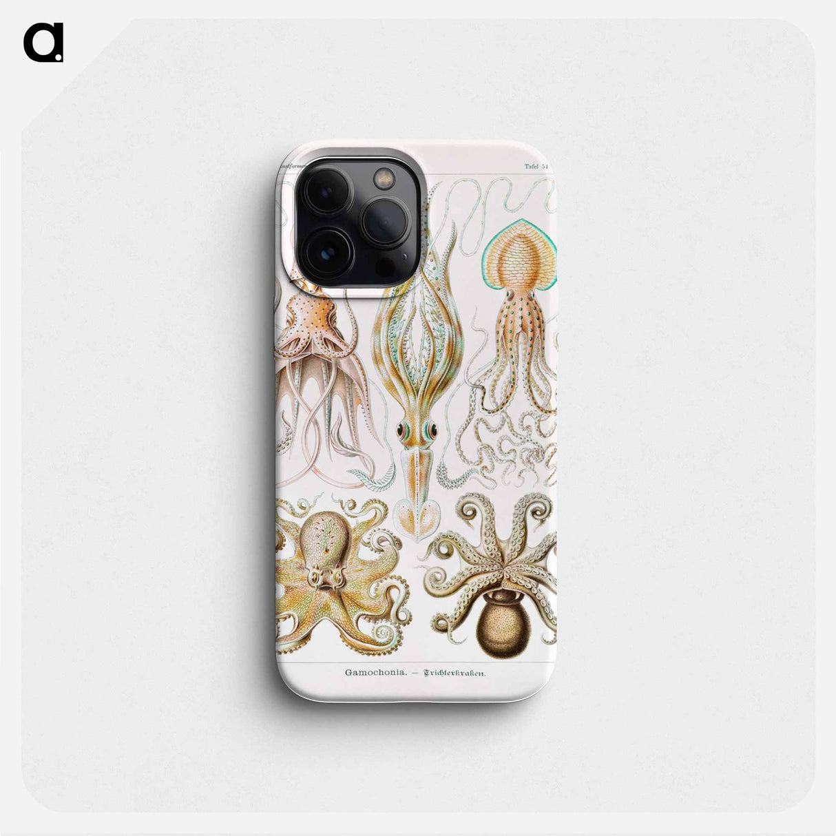 Gamochonia–Trichterkraken from Kunstformen der Natur - エルンスト ヘッケル Phone Case.