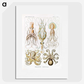 1-46_Ernst-Haeckel_picture