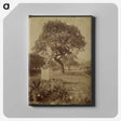 1-46_Eugene-Atget_canvas