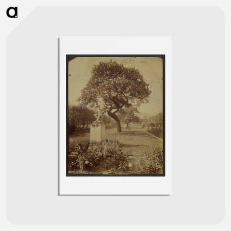 アートポストカード-Jardin Palais-Royal
 - ウジェーヌ アジェ Postcard.