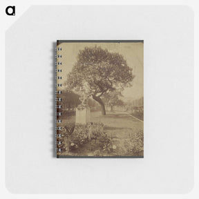 1-46_Eugene-Atget_memo