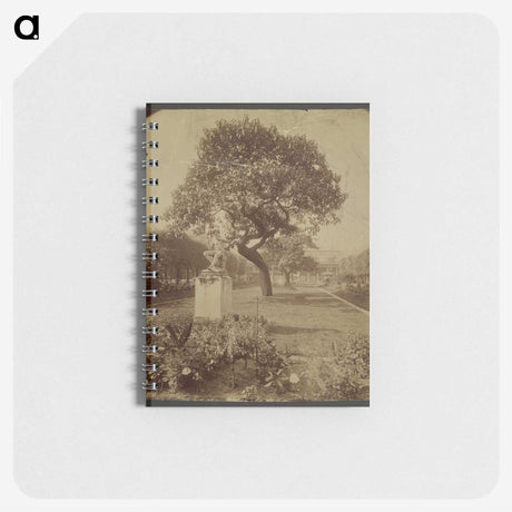 1-46_Eugene-Atget_memo