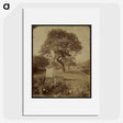 1-46_Eugene-Atget_picture