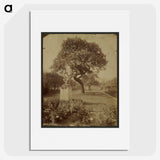 1-46_Eugene-Atget_picture