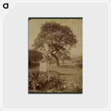 アートポストカード-Jardin Palais-Royal
 - ウジェーヌ アジェ Postcard.