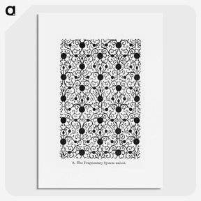 1-46_Examples-of-Chinese-Ornament_picture