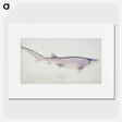 1-46_Frank-Edward-Clarke_picture