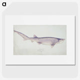 1-46_Frank-Edward-Clarke_picture
