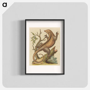 アートポスター-Pygmy Anteater
 - ジョージ エドワーズ Poster.