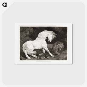 アートポストカード-A Horse Affrighted at a Lion
 - ジョージ スタッブス Postcard.