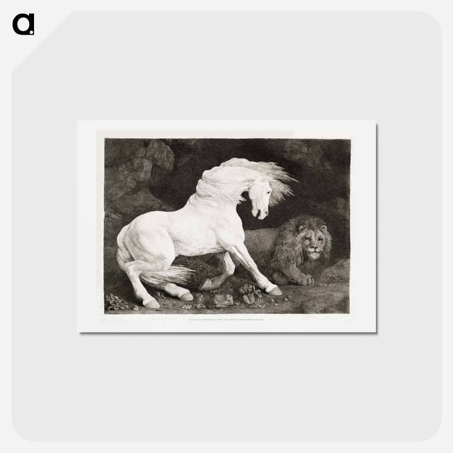 アートポストカード-A Horse Affrighted at a Lion
 - ジョージ スタッブス Postcard.