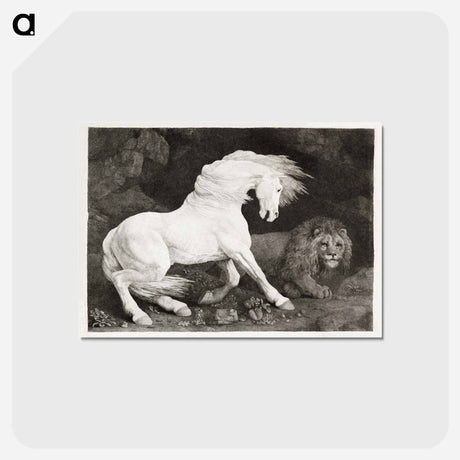 アートポストカード-A Horse Affrighted at a Lion
 - ジョージ スタッブス Postcard.