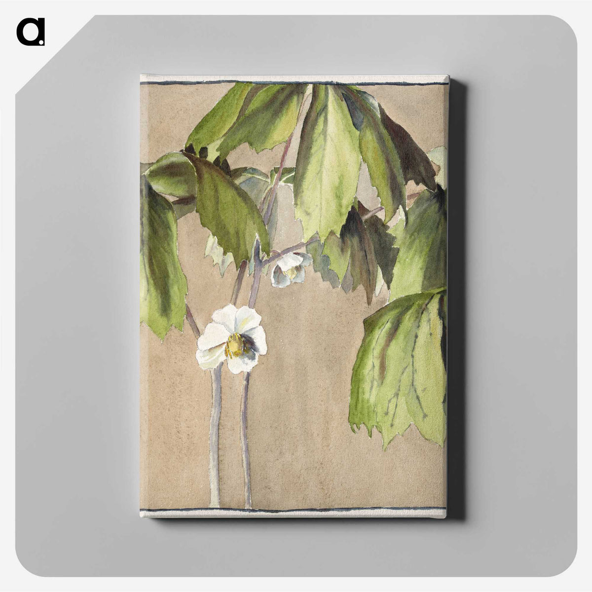 1-46_Hannah-Borger-Overbeck_canvas