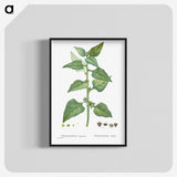 1-46_Histoire-des-Plantes-Grasses_blk-crop