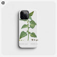 1-46_Histoire-des-Plantes-Grasses_phone