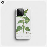 1-46_Histoire-des-Plantes-Grasses_phone