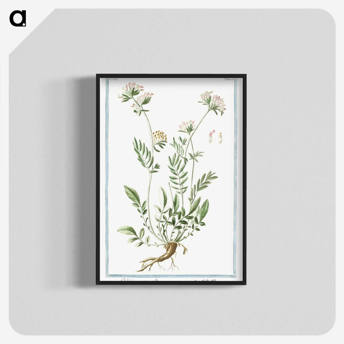 1-46_Hortus-Romanus-Botanical-Plates_blk-crop