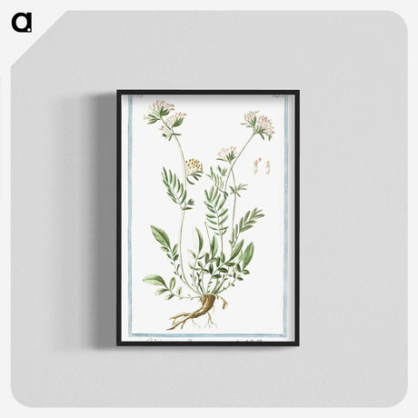 1-46_Hortus-Romanus-Botanical-Plates_blk-crop