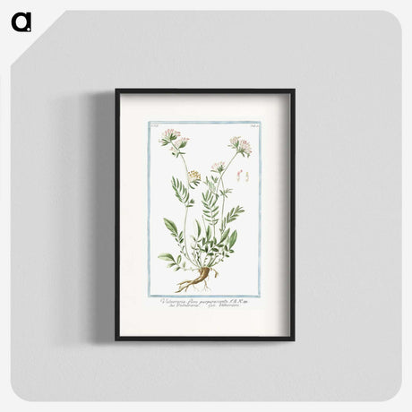 1-46_Hortus-Romanus-Botanical-Plates_blk