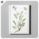 1-46_Hortus-Romanus-Botanical-Plates_canvas