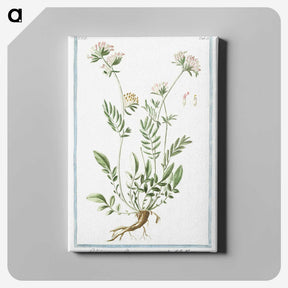 1-46_Hortus-Romanus-Botanical-Plates_canvas