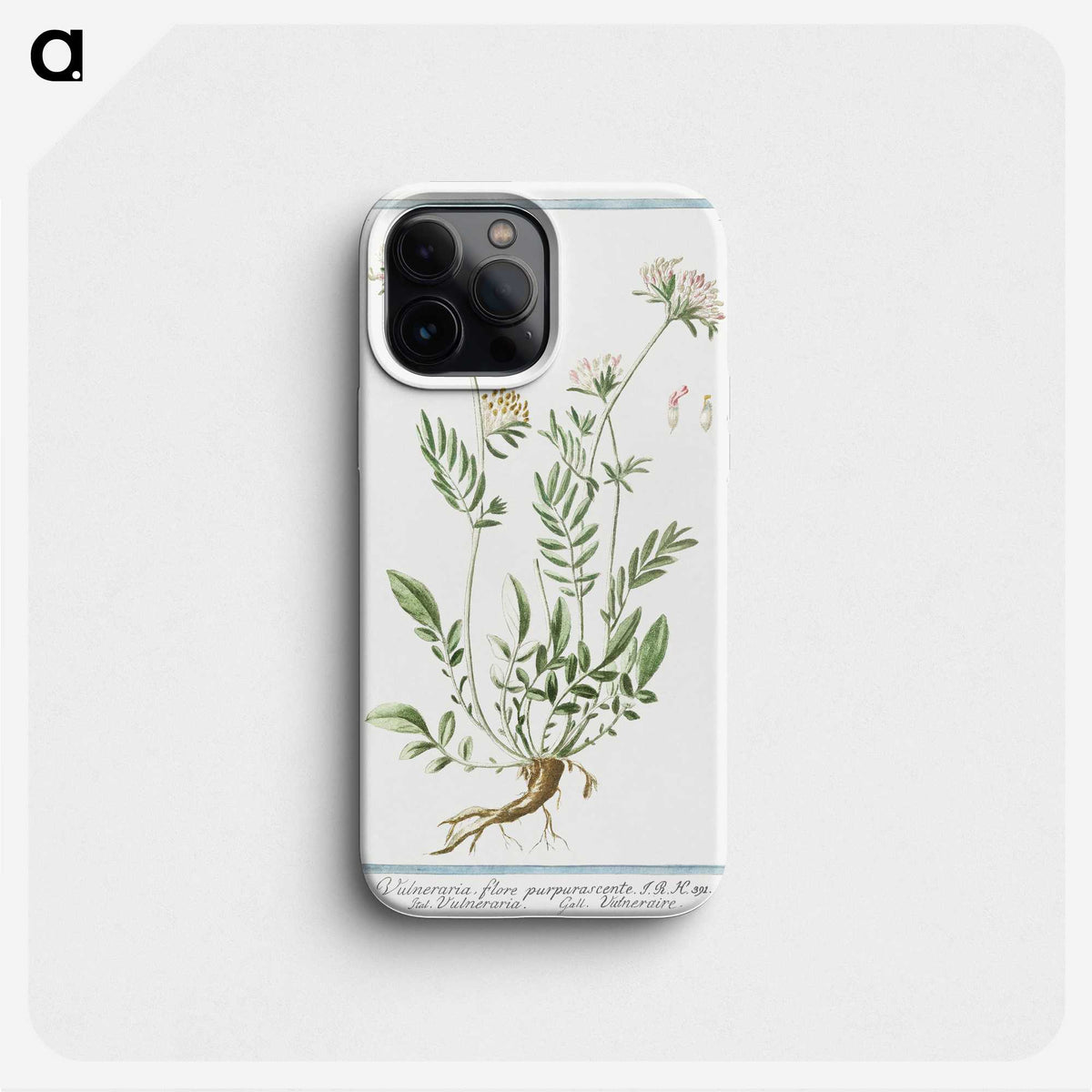 1-46_Hortus-Romanus-Botanical-Plates_phone