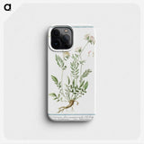 1-46_Hortus-Romanus-Botanical-Plates_phone