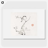 1-46_Hu-Zhengyan_picture
