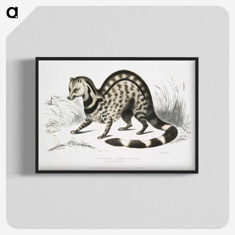 1-46_Indian-Zoology_blk-crop