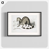 1-46_Indian-Zoology_blk