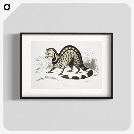 1-46_Indian-Zoology_blk