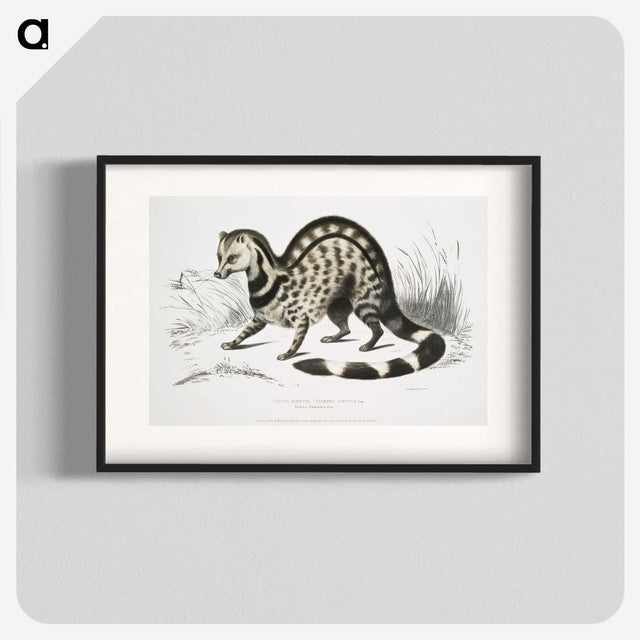 1-46_Indian-Zoology_blk