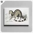 1-46_Indian-Zoology_canvas
